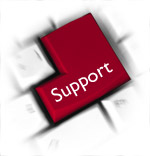 Head office support