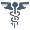 Health Icon