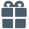 Present Icon